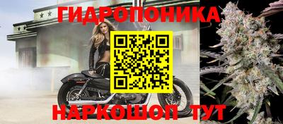 скорость Гусев